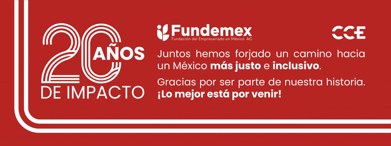 Redes -Fundemex_Banner web